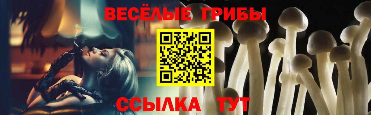 Галлюциногенные грибы MAGIC MUSHROOMS Конаково